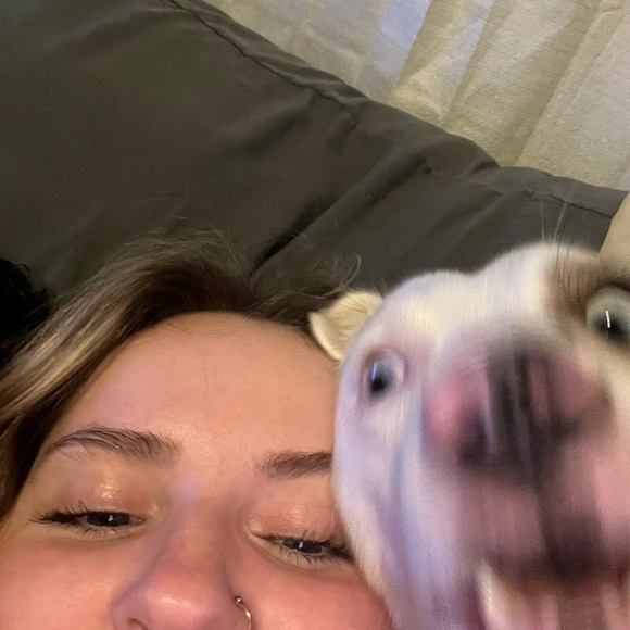 Meet your Posher, Brianna - Picture 1 of 1